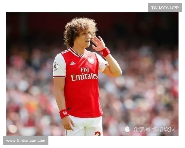 从哲学到赛场理性失效论视角下的大卫路易斯落选原因解析